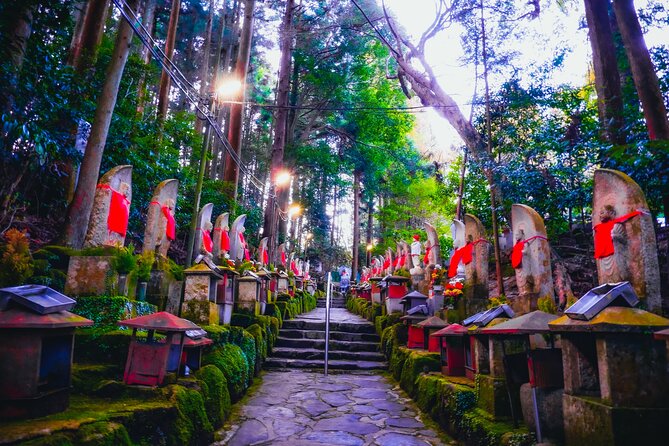 Hidden Gems of Osaka Kyoto Nara - Private Car Tour by Local Guide - Private Car Tour for Solo Travelers or Groups