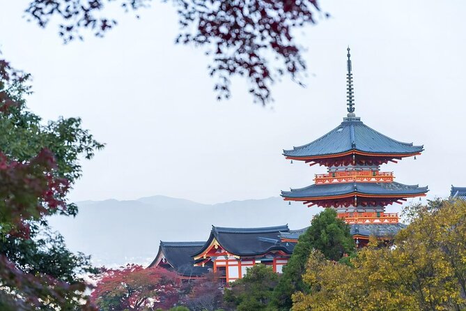 From Osaka: 10-hour Private Custom Tour to Kyoto - Questions? Contact Viator, Inc