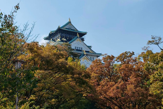 Ultimate Osaka Walking Tour(Osaka Castle, Shinsekai, Dotonburi) - Traveler Photos and Reviews