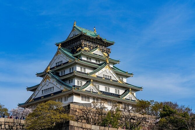Explore Osaka Hotspots in 1 Day Walking Tour From Osaka - Tour Overview: Highlights and Inclusions