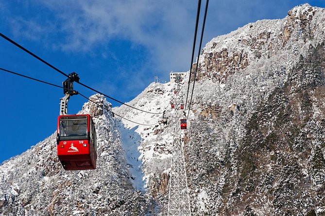 Mt. Gozaisho Ropeway, Nabana No Sato for Illumination and Begonia Garden! - Admission Ticket Included