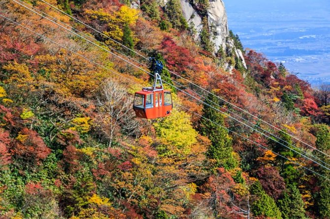 Mt. Gozaisho Ropeway, Nabana No Sato for Illumination and Begonia Garden! - Additional Information