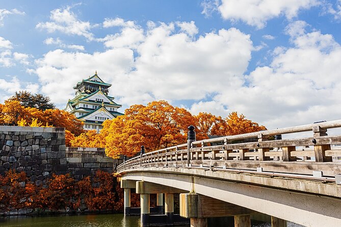 Osaka 6 Hr Private Tour: English Speaking Driver Only, No Guide - Pricing