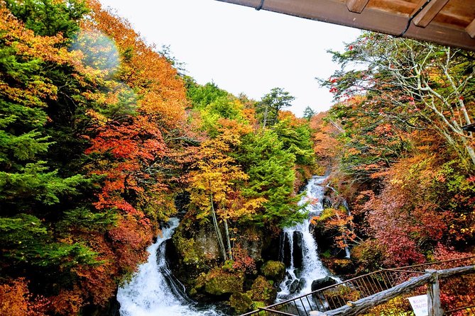 Daytrip to Nikko From Tokyo With Local Japanese Photograher Guide - Daytrip to Nikko: Overview