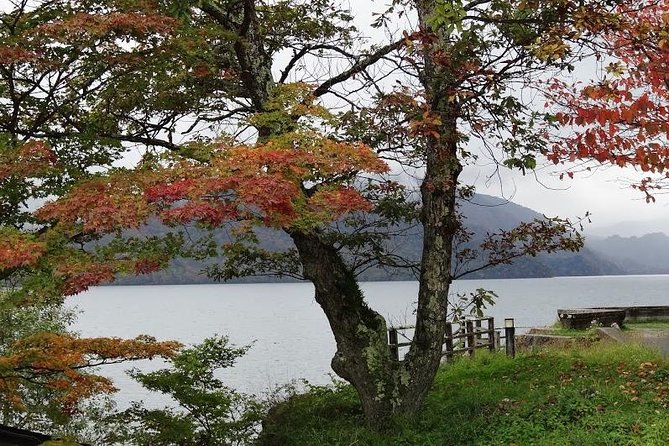 Daytrip to Nikko From Tokyo With Local Japanese Photograher Guide - Highlights and Attractions