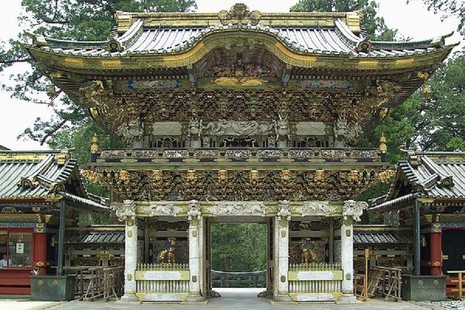 Nikko Private Tour by Public Transportation - Reviews of the Nikko Private Tour