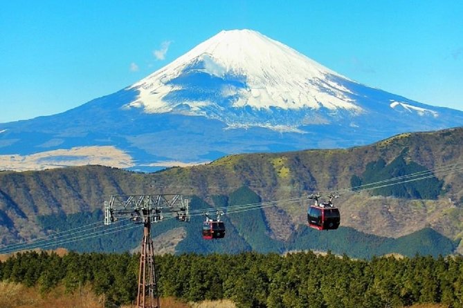 Hakone Full-Day Private Tour By Public Transportation - Tour Highlights