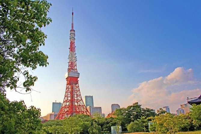 Tokyo Private Customized City Tour - Tour Pricing and Options