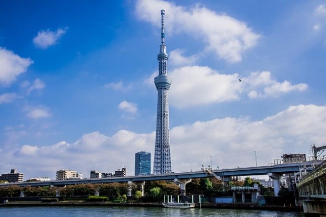 Tokyo Private Customized City Tour - Positive Tour Experiences