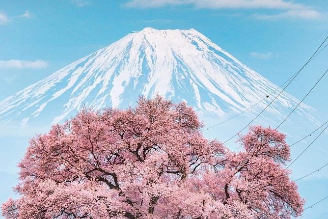 Tokyo Walking Tour 6 Hours (Tsukuji Fish Market, Asakusa, Ginza, Imperial Palace - Exploring Asakusas Cultural Gems