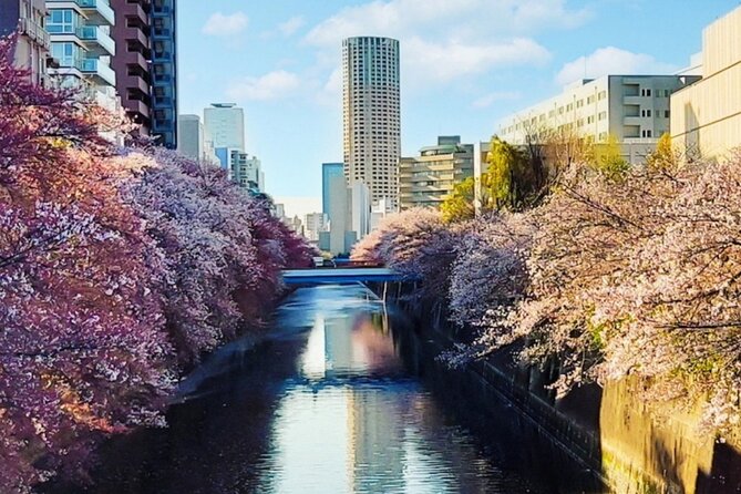 Licensed Guide Tokyo Meguro Cherry Blossom Walking Tour - Quick Takeaways