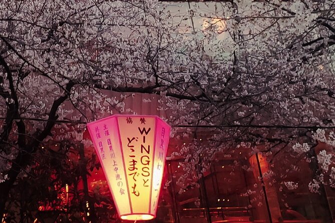 Licensed Guide Tokyo Meguro Cherry Blossom Walking Tour - Directions and Transportation