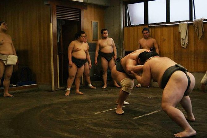 Watch Morning Practice at a Sumo Stable in Tokyo - The Authentic Sumo Experience
