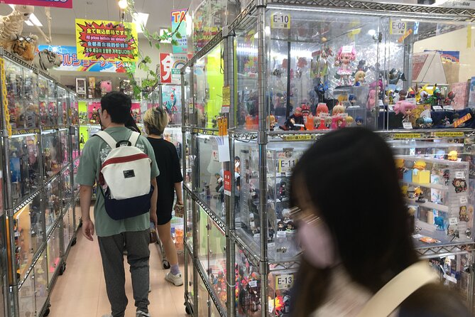 Private Akihabara Anime Guided Walking Tour - Tour Details