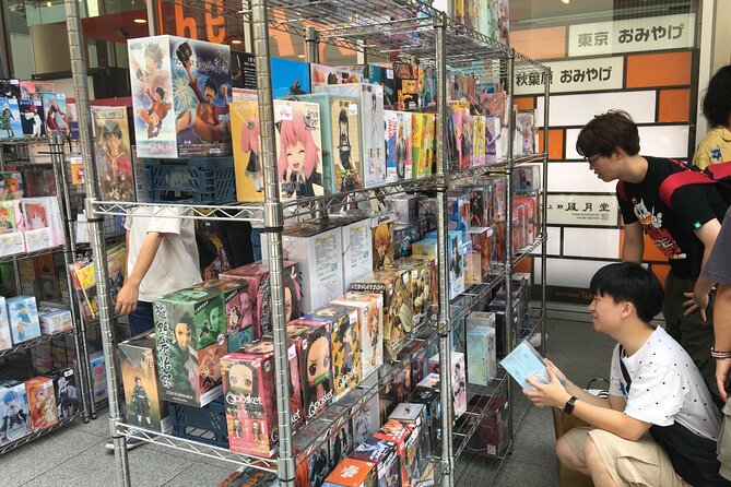 Private Akihabara Anime Guided Walking Tour - Reviews