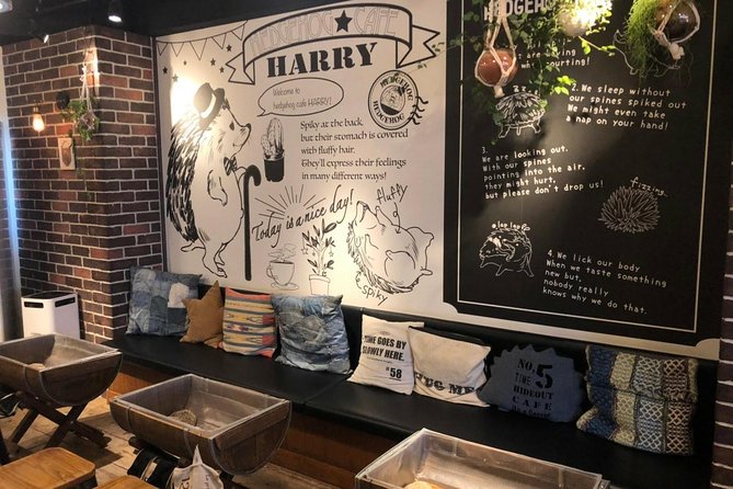 Admission to Hedgehog Cafe in Harajuku - Frequently Asked Questions