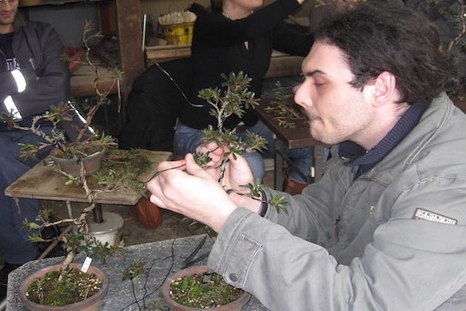 Small-Group 2-Hour Bonsai-Making Lesson in Tokyo 2024 - Additional Information