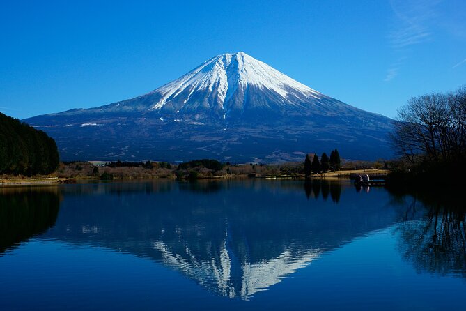 Best Mt Fuji and Hakone Full-Day Bus Tour From Tokyo - Tour Highlights