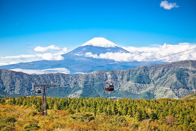 Best Mt Fuji and Hakone Full-Day Bus Tour From Tokyo - Tour Inclusions