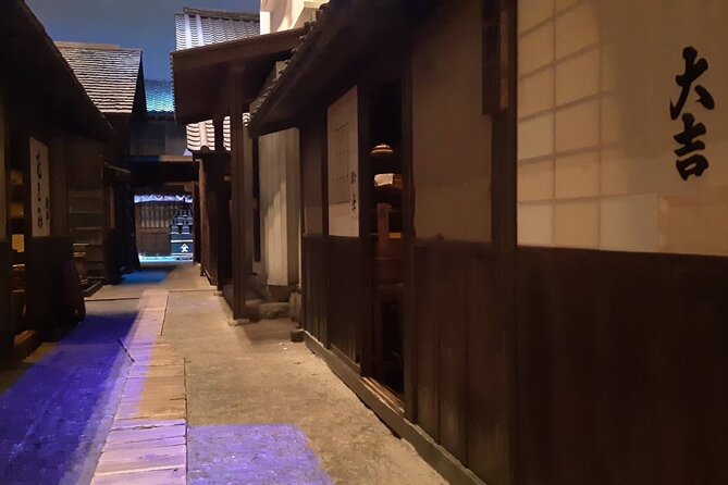 Discover the Wonders of Edo Tokyo on This Amazing Small Group Tour! - Expert Tour Guide