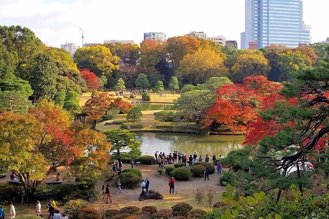 Tokyo Self-Guided Audio Tour - Traveler Photos and Reviews