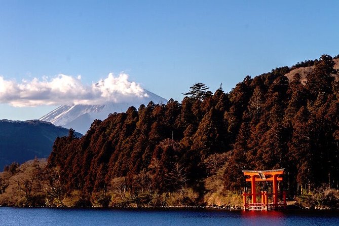 Private Hakone Tour - View of Mt. Fuji, Nature and Culture - Cultural Experiences