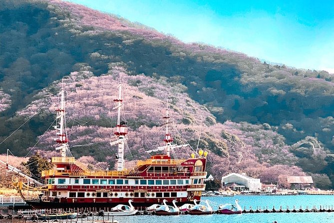 Private Hakone Tour - View of Mt. Fuji, Nature and Culture - Mt. Fuji Viewing