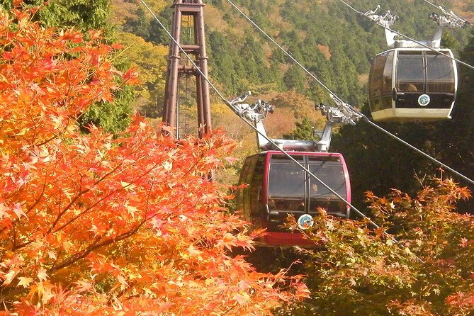 Mt Fuji and Ashinoko With Hakone Sightseeing Cruise 1 Day Tour - Tour Details and Departure Information