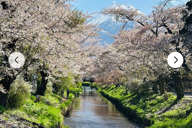 Private Full-Day Mt Fuji Hakone Tour English Driver Guide by Car - Itinerary Overview