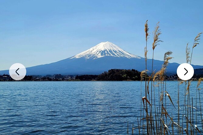 Private Full-Day Mt Fuji Hakone Tour English Driver Guide by Car - Comfortable Transportation