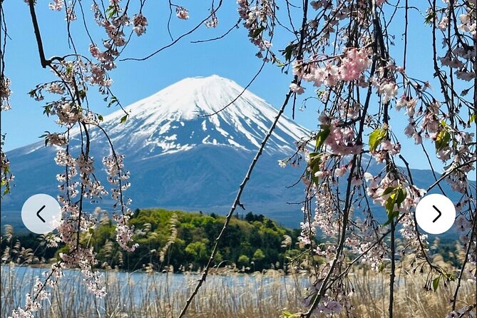 Private Full-Day Mt Fuji Hakone Tour English Driver Guide by Car - Professional English Driver Guide