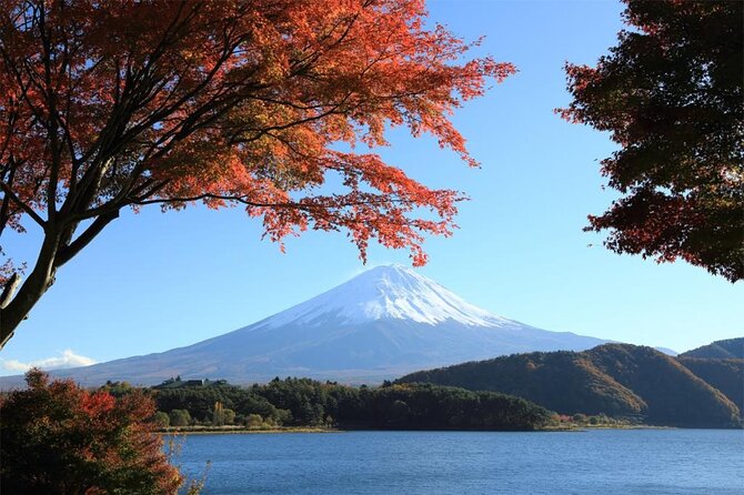 Mt. Fuji & Hakone Bullet Train 1 Day Tour From Tokyo Station Area - Tour Details