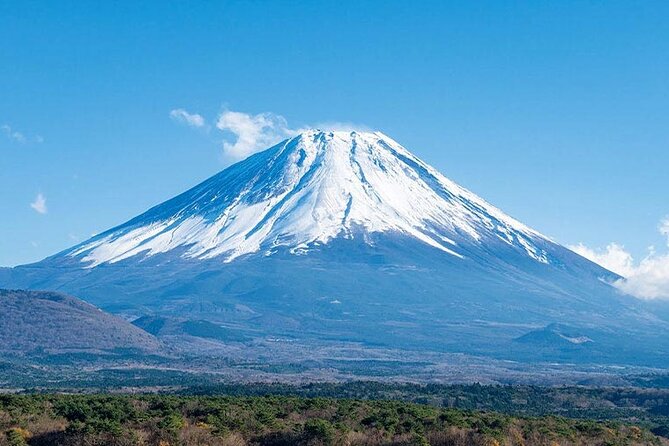 Mt.Fuji, Oishi Park & Arakurayama Sengen Park Bus Tour From Tokyo - Tour Information and Itinerary