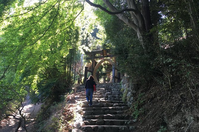 Japan'S Countryside: Small-Group Tour From Tokyo - Natural Wonders: Mountains, Waterfalls, and Cherry Blossoms