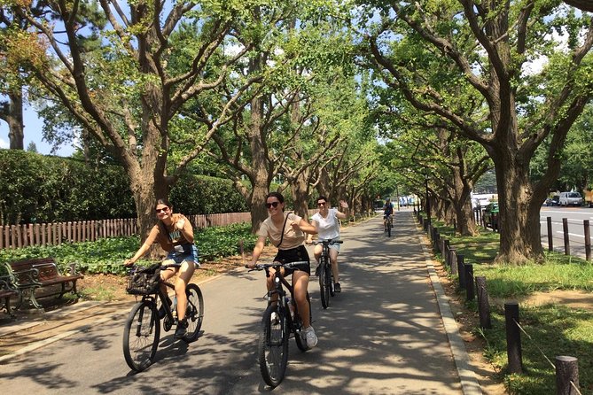 Small Group Cycling Tour in Tokyo - The Sum Up