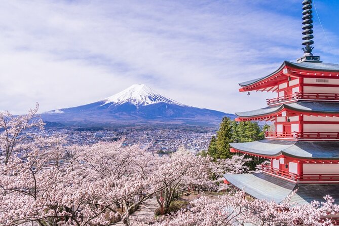 Private Mt. Fuji Custom Tour From Tokyo - Tour Details