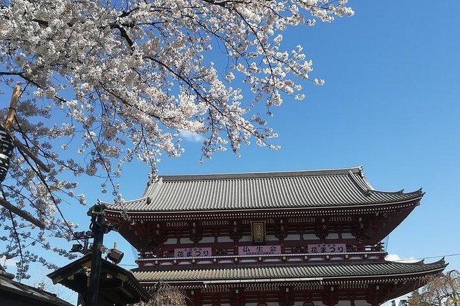 Private Full-Day Cherry-Blossom Tour of Tokyo With Tsukiji 2024 - Price and Booking Information