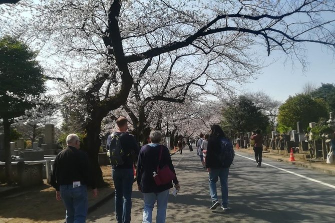 Cherry Blossom Highlights, Asakusa, Ueno, Yanaka - Frequently Asked Questions