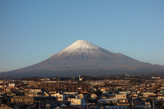 Private Mount Fuji Tour - up to 9 Travelers - Additional Information and Recommendations