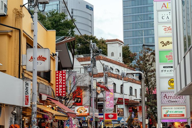 Highlights & Hidden Gems With Locals: Best of Tokyo Private Tour - Insider Tips for Maximizing Your Tokyo Experience