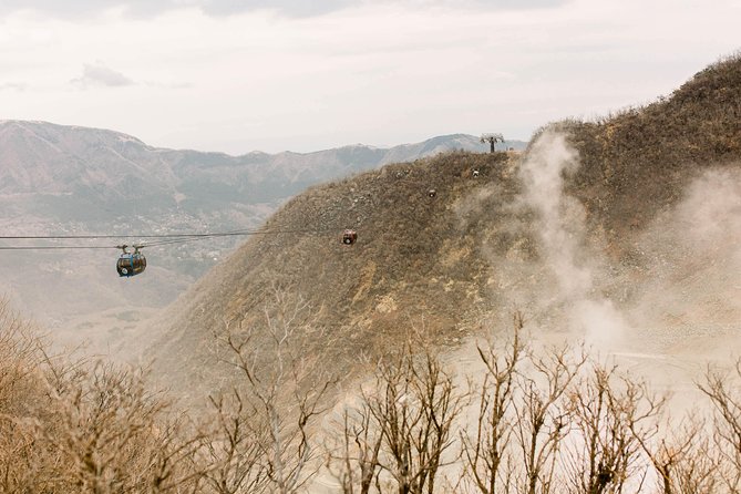 Hakone Private Two Day Tour From Tokyo With Overnight Stay in Ryokan - The Sum Up