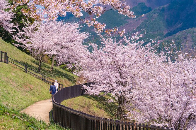Mt. Fuji Cherry Blossom One Day Tour From Tokyo - Booking and Reservation Information