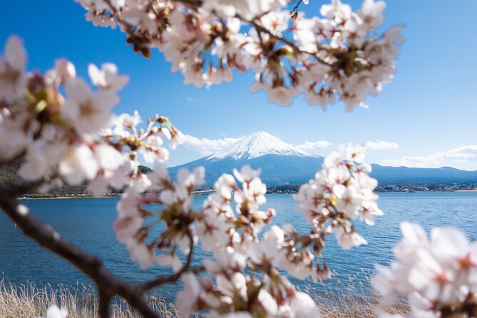 Mt. Fuji Cherry Blossom One Day Tour From Tokyo - Pricing and Inclusions
