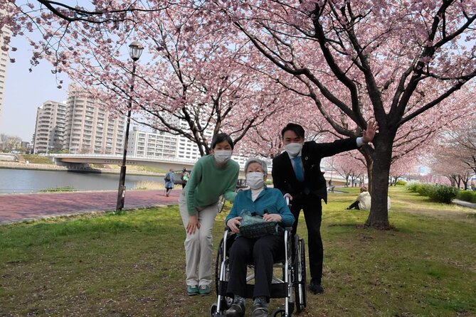 Full Day Private Tokyo Tour for Wheelchair Users - Tour Highlights