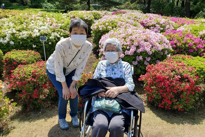 Full Day Private Tokyo Tour for Wheelchair Users - Tour Itinerary