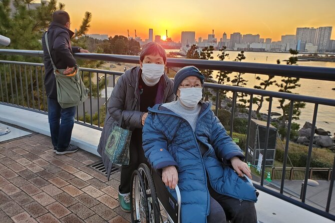 Full Day Private Tokyo Tour for Wheelchair Users - Pricing and Inclusions