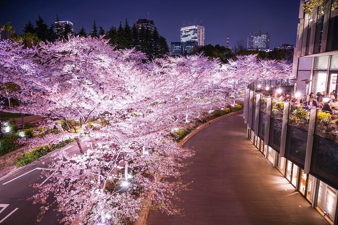 Cherry Blossom Private Tour - Inclusions and Tour Details