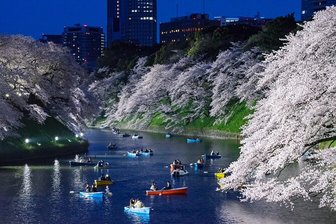 Cherry Blossom Private Tour - Pickup Details and Reviews