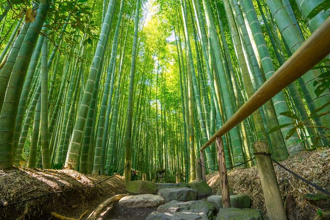 Kamakura Tour - Traveler Reviews and Ratings