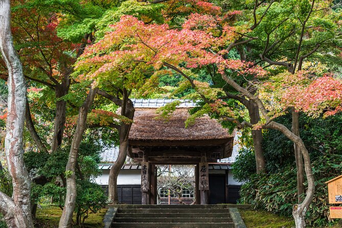 Kamakura Tour - Insider Tips for the Kamakura Tour